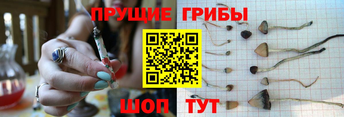 Меф   Рузаевка  Вход с VPN  ГАШ  Каннабис  Cocaine 