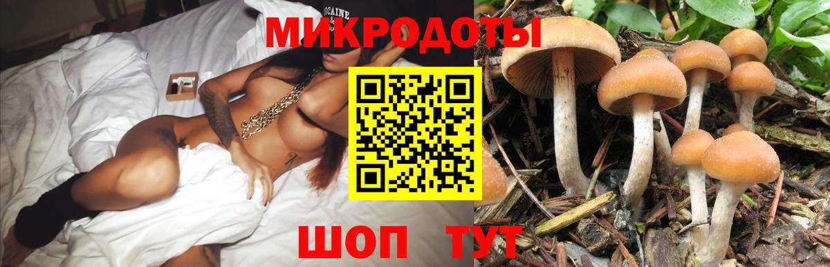 ГАШ Рузаевка