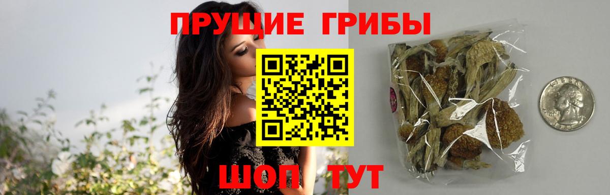 Рузаевка  закладка  Галлюциногенные грибы Cubensis  Вход с VPN  Псилоцибиновые грибы мицелий 